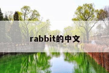 rabbit的中文