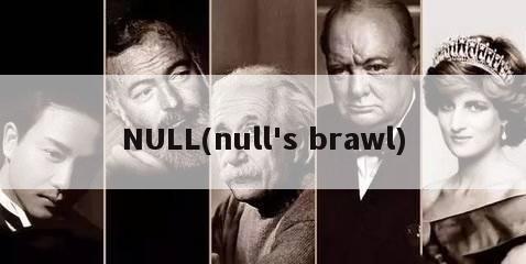NULL(null's brawl)