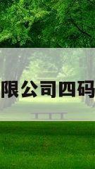 四码信息技术有限公司四码定位是什么意思