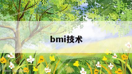 bmi技术