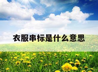 衣服串标是什么意思