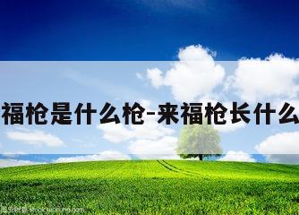 来福枪是什么枪-来福枪长什么样