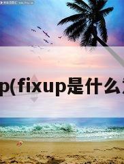 fixup(fixup是什么意思)