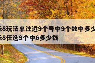 快乐8玩法单注远9个号中9个数中多少钱-快乐8任选9个中6多少钱