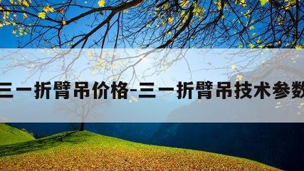 三一折臂吊价格-三一折臂吊技术参数